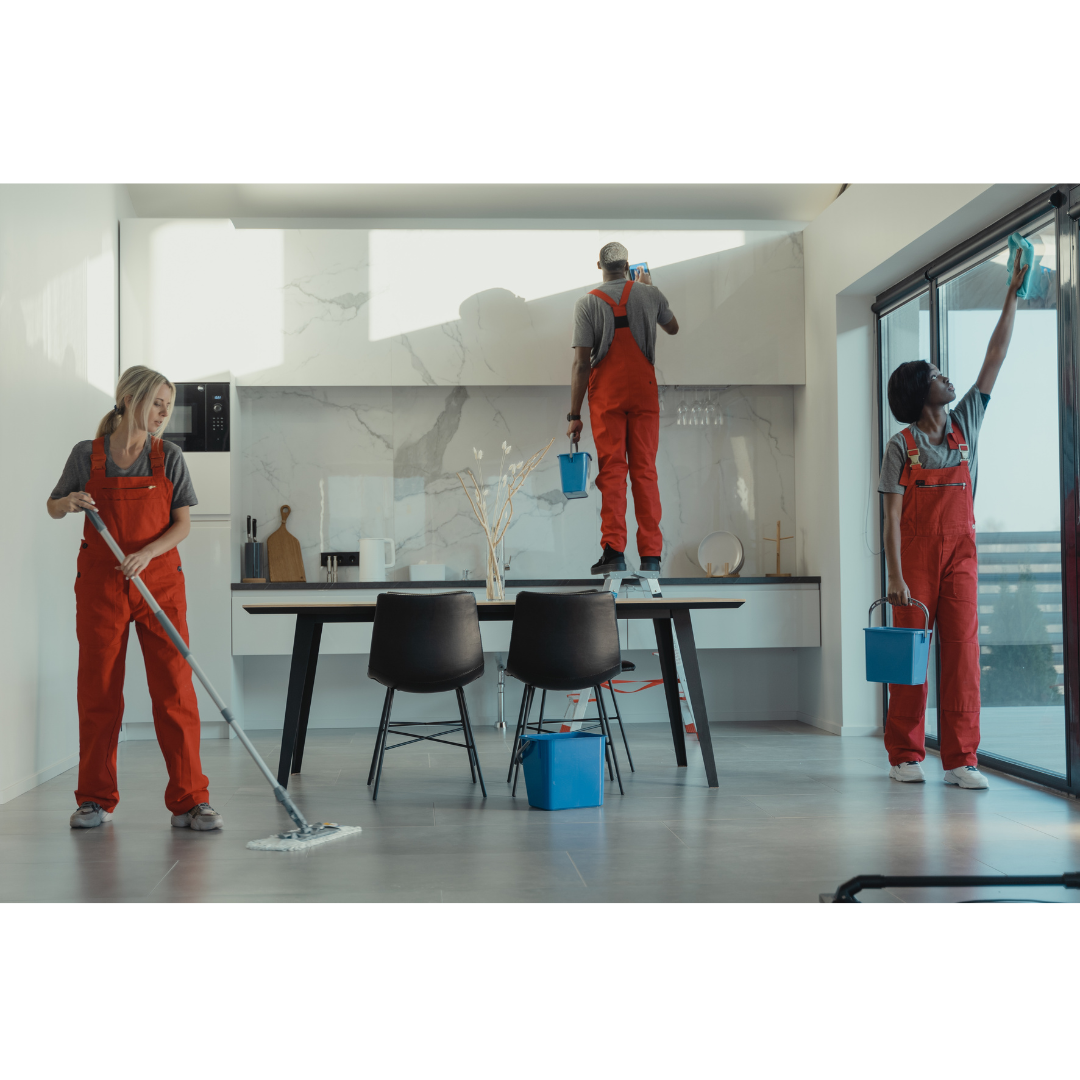 Professional Home Cleaning